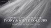 The Difference Between White, Ivory, and Champagne: Choosing the Right Shade for Your Dress and Veil - Ivory & White