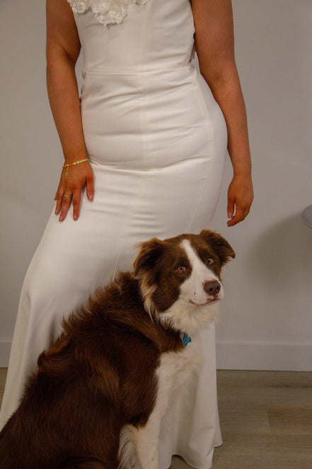 Aura -  - Wedding Dress - Ivory & White