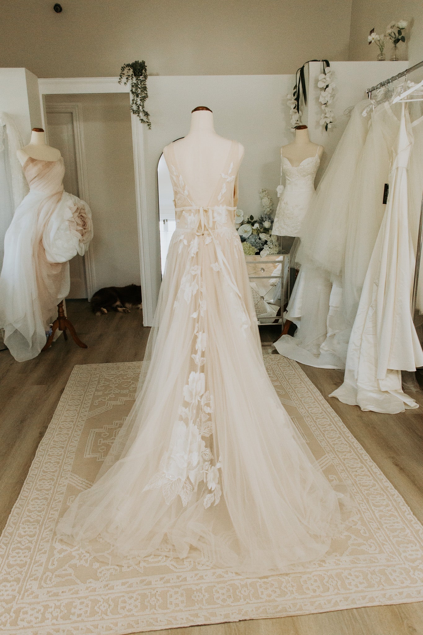 Cheyenne -  - Wedding Dress - Ivory & White
