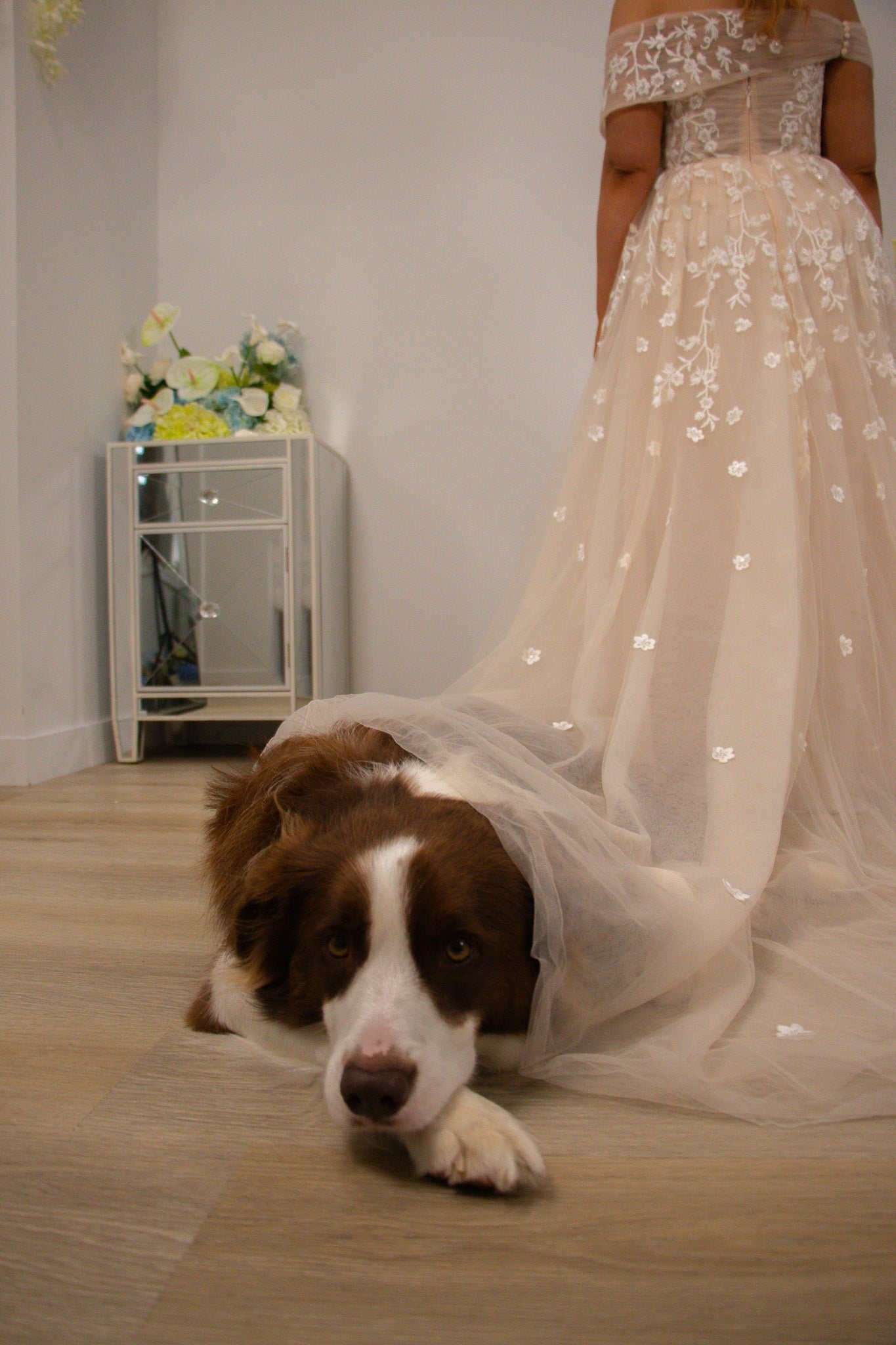 Laura -  - Wedding Dress - Ivory & White