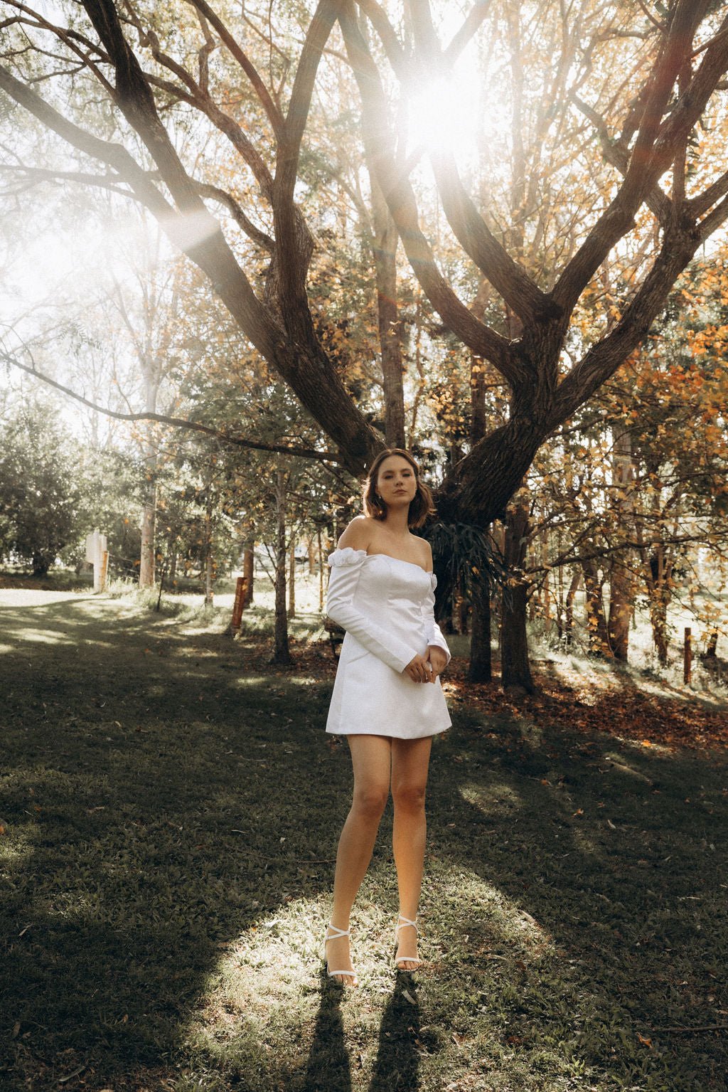 Viola - 14:29;200000443:151 - Wedding Dress - Ivory & White